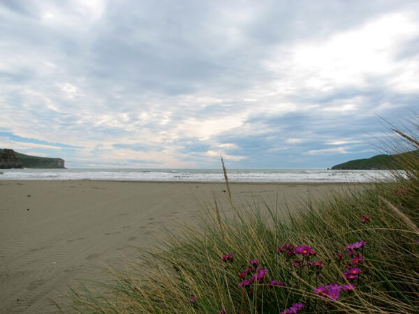 Tranquil view of Okains beach on a cloudy day.