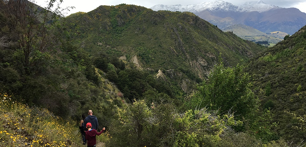 Queenstown, Short Walks, Long Walks, Short Hikes, View Points, New Zealand, Best short walks, Queenstown Trails, Lake Wakatipu, Walking Tracks, Lake Alto Walking Track