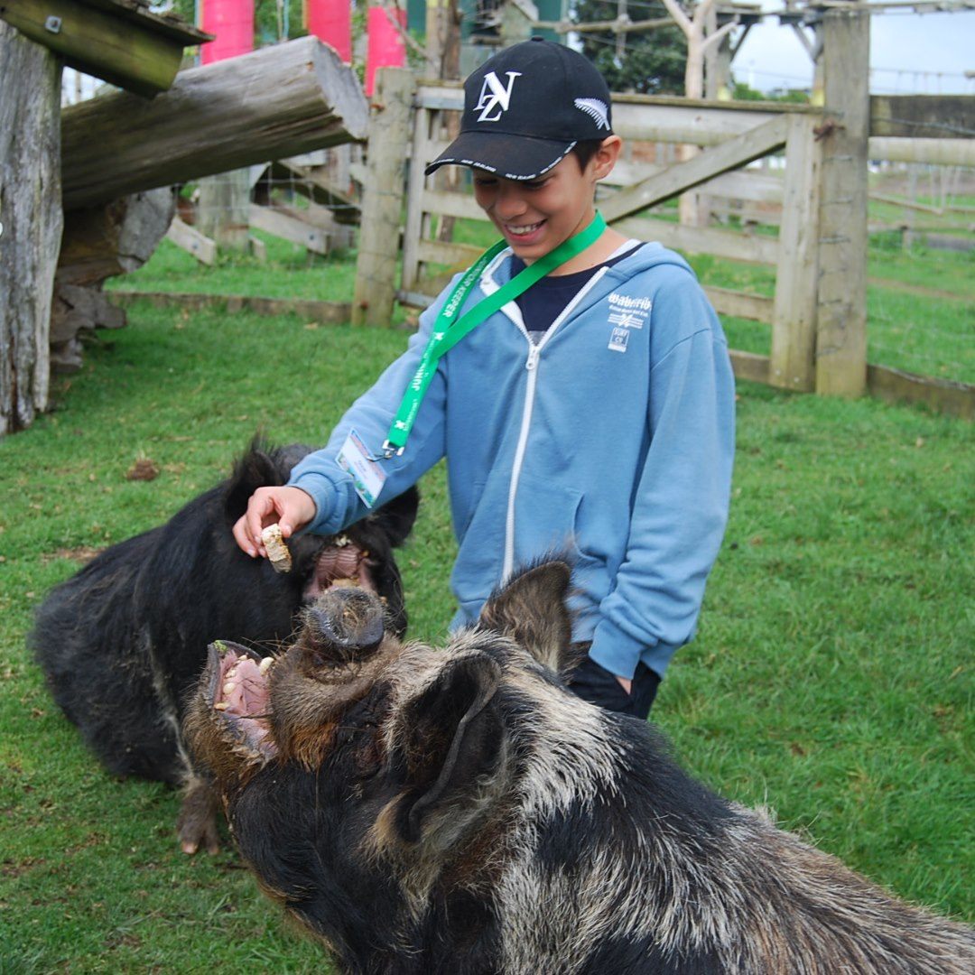 Become a Junior Keeper at Butterfly Crrek