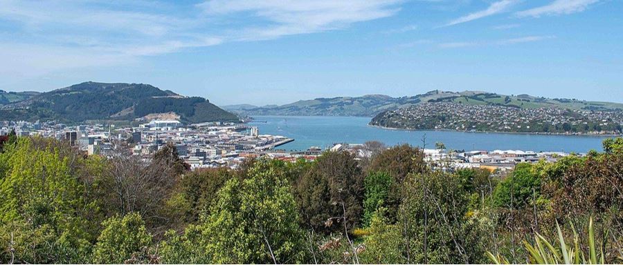 Unity Park Lookout overlooking Dunedin City.
