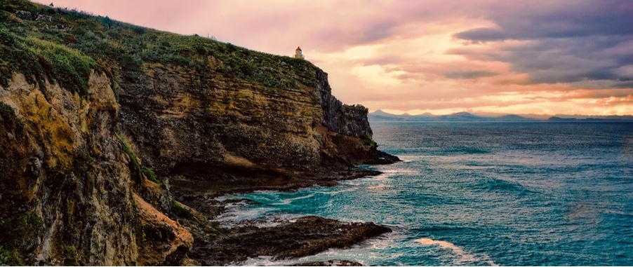 Taiaroa Heads at Otago harbour.