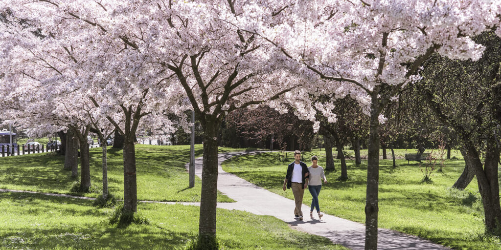 A beautiful spring day at the Christchurch Botanical Gardens.