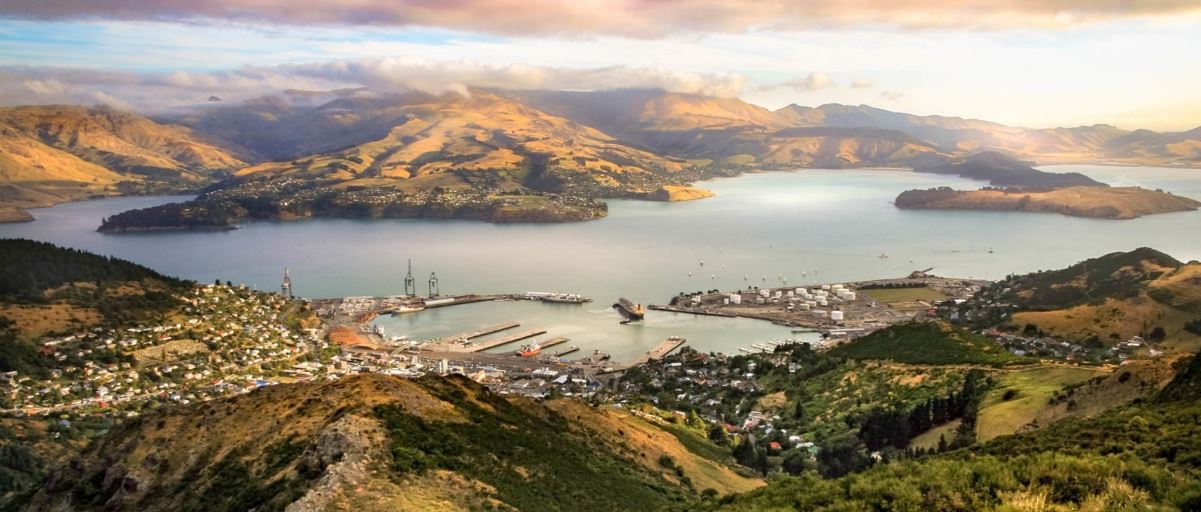 aerial view of Dunedin harbour.