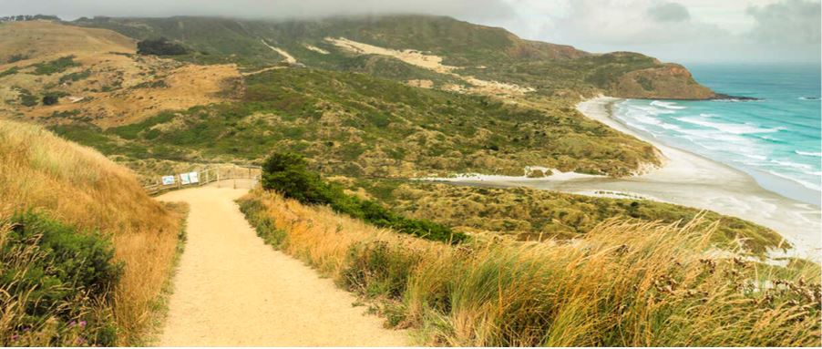 A hiking track along Sandfly Bay beachfront.