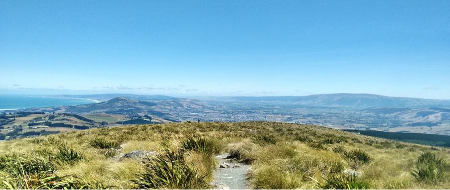 panoramic mountaintop view at Pineapple Track.