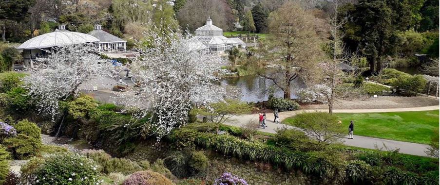 Aerial view of the beautiful Dunedin Botanical Gardens. 