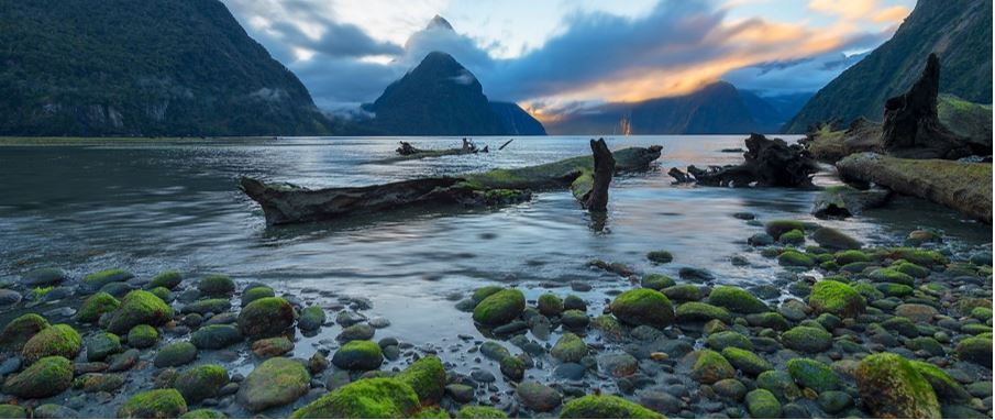serene views from Fiordlands National Park.