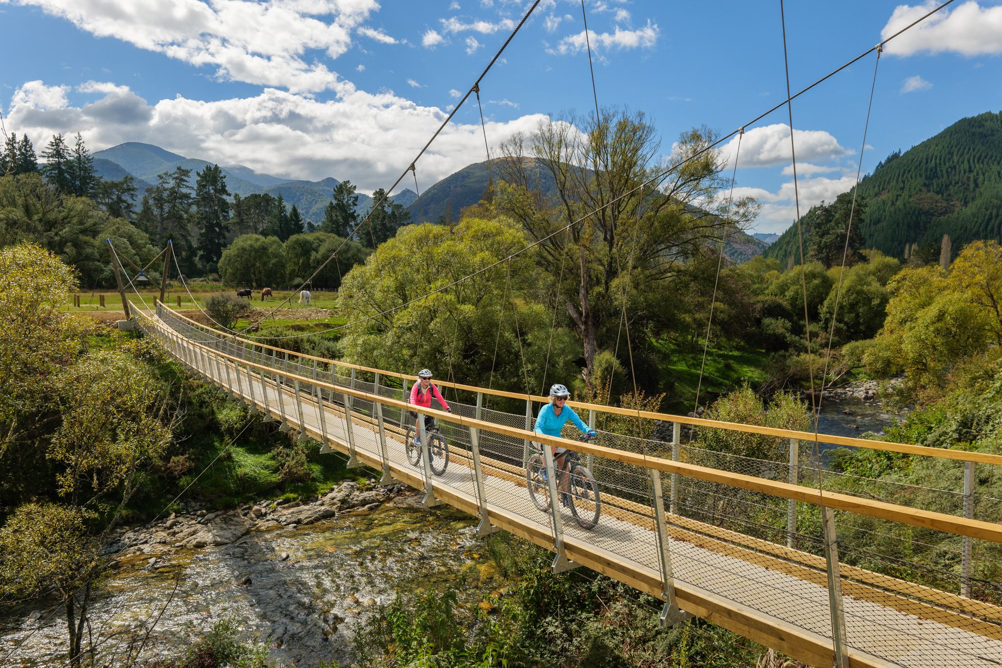 couple of people cycling along the Great Taste Train in Nelson.