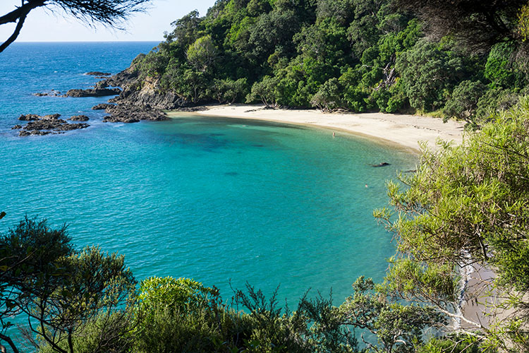 whale-bay-viewpoint-tutukaka-new-zealand