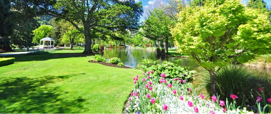 The relaxing view at the Queenstown Gardens on a beautiful sunny day.